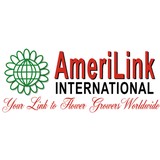 AmeriLink International - Other in Lemont