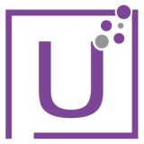 US Software Professionals Inc - Software Development in Naperville