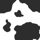 National Conference on Inste - Other in Monticello