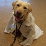 Dixon Veterinary Hospital Pc - Other in Dixon