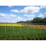 Wilson Nursery - Other in Ingleside