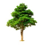 Greentree Waterproofing Inc - Waterproofing Services & Materials in Springfield