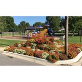Paxton Park District - Other in Paxton