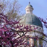 Augustana College - Other in Rock Island