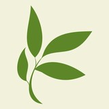 Timberline Knolls Residential Treatment Center - Other in Lemont