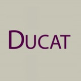 Ducat Chiropratic And Wellness Center - Other in Bloomingdale
