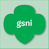 Girl Scouts - Other in Harvard
