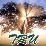 Trees R US Inc - Other in Wauconda