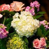 Fleur Couture - Florists in Downers Grove