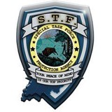 Special Task Force Protection Agency - Other in Fairview Heights