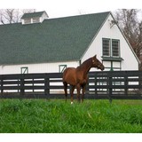 Ridgewood Stables LLC - Other in Villa Ridge