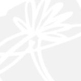 Center For Holistic Medicine - Medical Centers in Deerfield