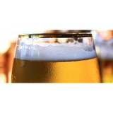 Toad's Stool & Pub - Other in Highwood