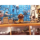 Bikers PHD, LLC - Other in Creve Coeur