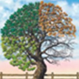 Arbor Counseling Center Ltd - Other in Buffalo Grove