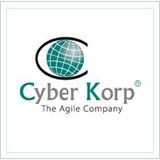 Cyber Korp Inc - Other in Roselle