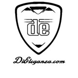 Dieleganza.com - Other in Lake Zurich