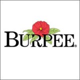 Burpee Holding Company Inc - Other in Glen Ellyn