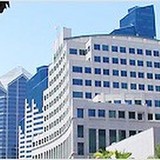 My Local SEOs - Web Design & Development in Geneva