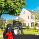 Dany Tree Service - Other in Hampshire