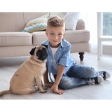 Carpets Unlimited Inc - Other in Hampshire