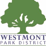 Gregg House Museum - Other in Westmont