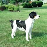 Cashvac Inc - Other in Woodstock