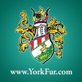 York Furrier - Other in Barrington