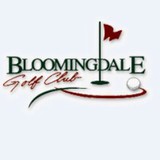 Bloomingdale Village Golf - Other in Bloomingdale