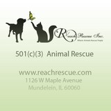 Reach Rescue Inc - Other in Mundelein