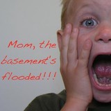 Basement Flood Protector Inc - Flood Not - Other in Lake Zurich