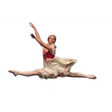 Springfield Dance - Business Consulting in Springfield