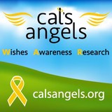 Cal's All-Star Angel Foundation - Other in South Elgin
