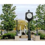 Downers Grove Downtown Management - Other in Downers Grove