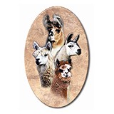 Useful Llama And Amp Alpaca Items - Business Consulting in Byron