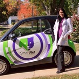 Smart Vet - Other in Normal