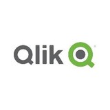 Qlik Technologies Inc - Other in Itasca