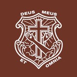 Pedersen Paul E MD - Other in Bloomington