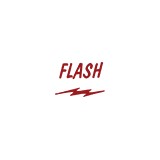Flash Trucking - Other in LaSalle
