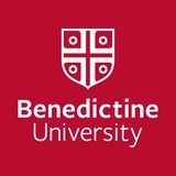 Benedictine University At - Combined Elementary and Secondary Schools in Springfield