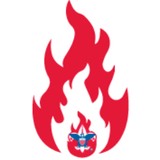 Boy Scouts Of America Three Fires Council Inc - Other in St. Charles