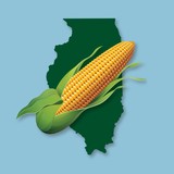 Illinois Corn Growers Association - Other in Bloomington