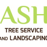 Ash Tree Service and Landscaping Inc - Tree Services in Elgin
