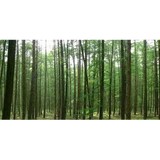 Forest Envelope CO - Manufacturer in Lisle