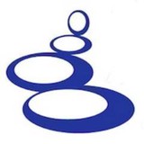 BlueStone Advisors - Other in Downers Grove