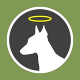 Dog Boy Inc - Pet Stores in New York