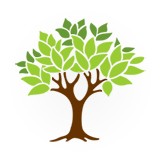 Wm Biers Inc - Food & Related Products in Albany