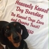 Heavenly Kennel dog boarding - Other in Livonia