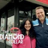 Diamond Collar - Pet Stores in New York