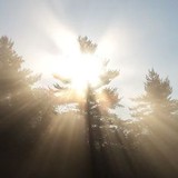 Whole Person Healing - Other in Pleasant Valley